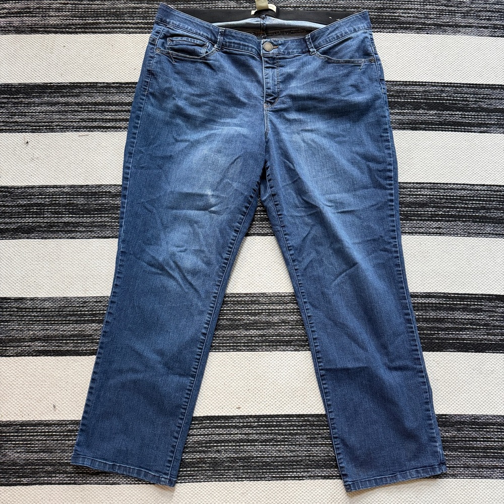 Democracy Denim Ab Technology Jeans with Comfort Stretch Waistband Size 22W